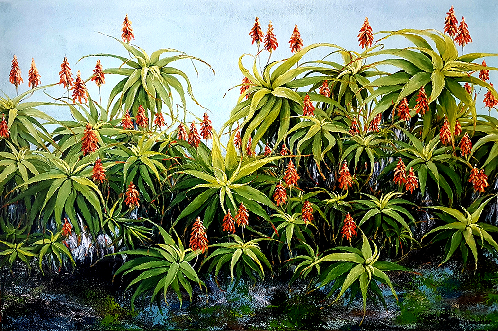 Aloe Wall